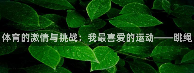 3377体育官网下载招商电话号码查询是多少：体育的激