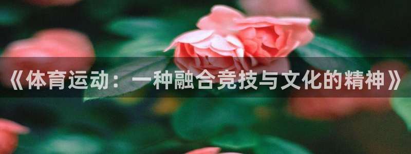 3377体育官网下载平台注册流程视频：《体育运动：一