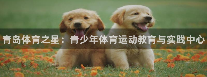 3377体育官网下载娱乐：青岛体育之星：青少年体育运