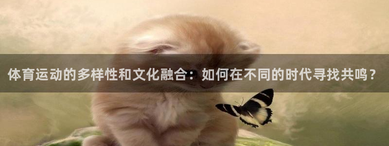 3377体育官方正版app娱乐下载
