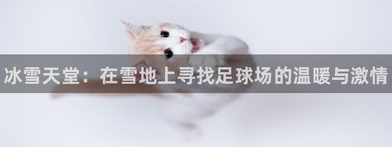 3377体育官网下载平台注册要钱吗：冰雪天堂：在雪地