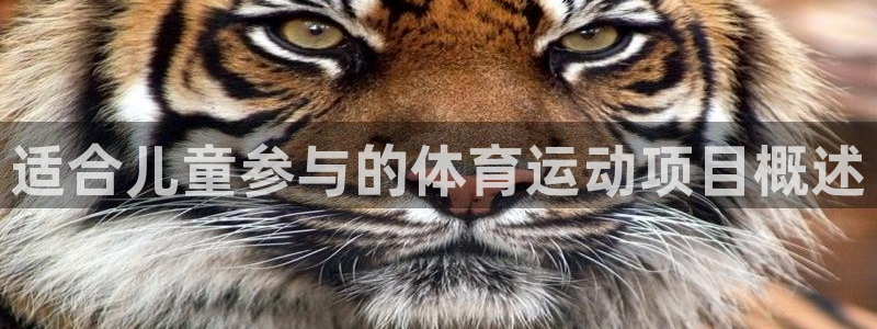3377体育官网下载招商电话地址查询：适合儿童参与的