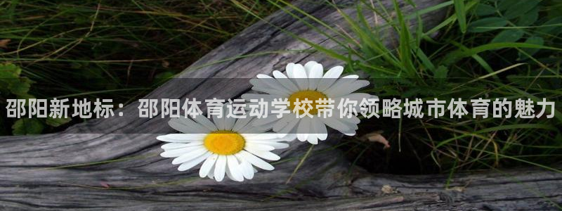 3377体育官方正版app集团logo：邵阳新地标：