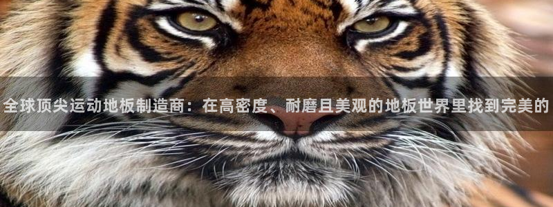 3377体育官方正版app开户：全球顶尖运动地板制造商：在高