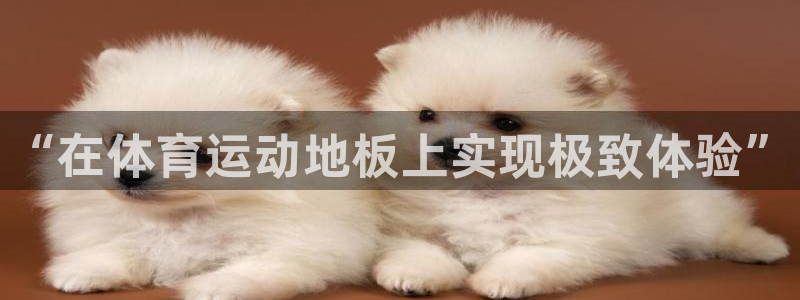 3377体育官方正版app娱乐首页网站大全：“在体育