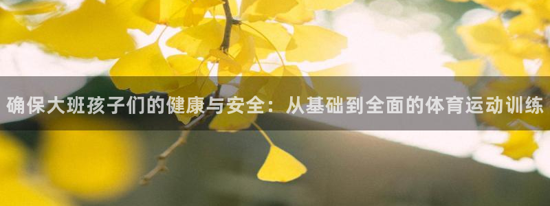 3377体育官方正版app娱乐首页官网下载：确保大班孩子们的