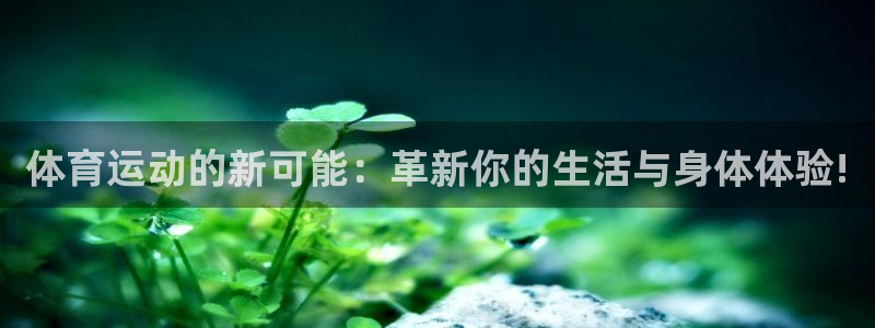3377体育官方正版app娱乐首页网站大全