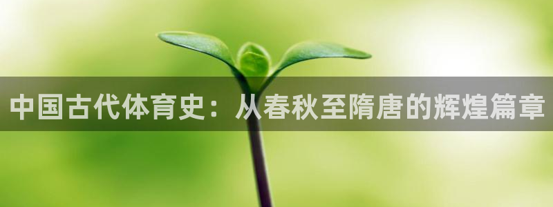 3377体育官方正版app集团