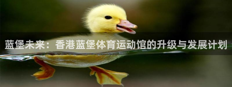 3377体育官网下载招商：蓝堡未来：香港蓝堡体育运动馆的升级