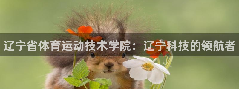 3377体育官网下载软件
